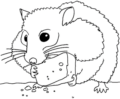 a-hamster-which-eat-cheese